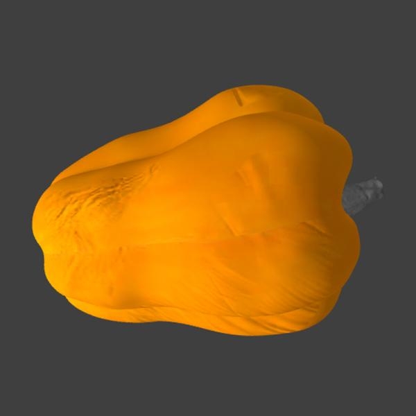 灯笼椒-文体生活-蔬菜-VR/AR模型-3D城
