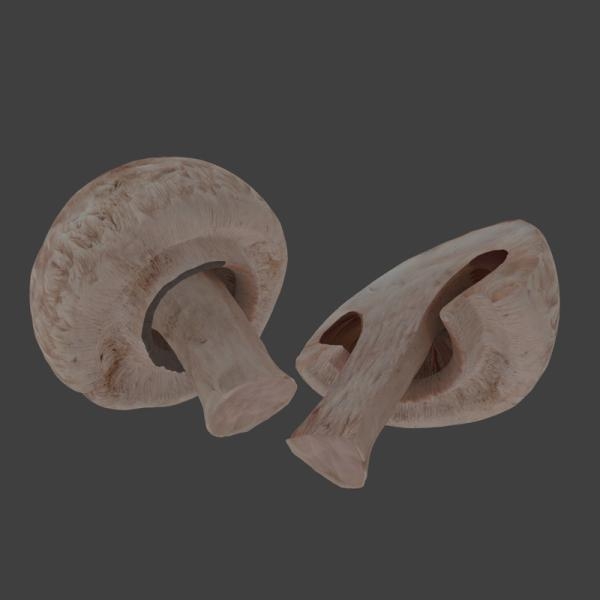 蘑菇-文体生活-蔬菜-VR/AR模型-3D城