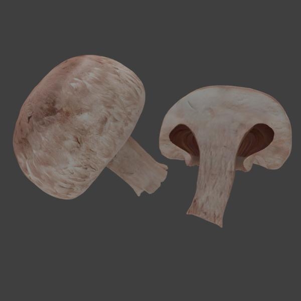 蘑菇-文体生活-蔬菜-VR/AR模型-3D城