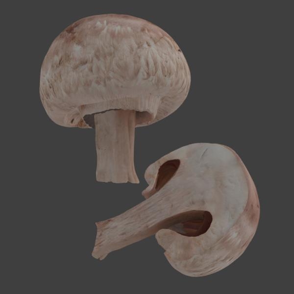 蘑菇-文体生活-蔬菜-VR/AR模型-3D城