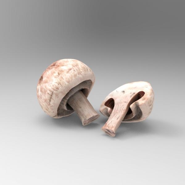 蘑菇-文体生活-蔬菜-VR/AR模型-3D城