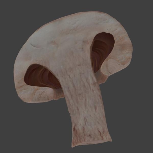 蘑菇-文体生活-蔬菜-VR/AR模型-3D城
