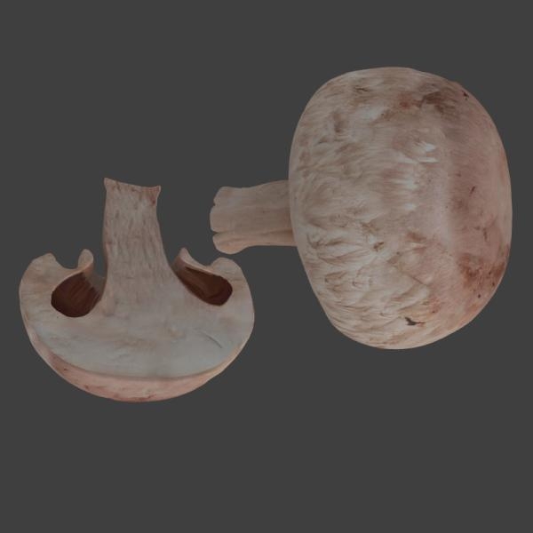 蘑菇-文体生活-蔬菜-VR/AR模型-3D城