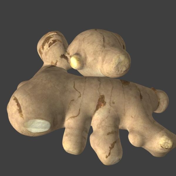生姜-文体生活-蔬菜-VR/AR模型-3D城