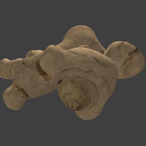 生姜-文体生活-蔬菜-VR/AR模型-3D城