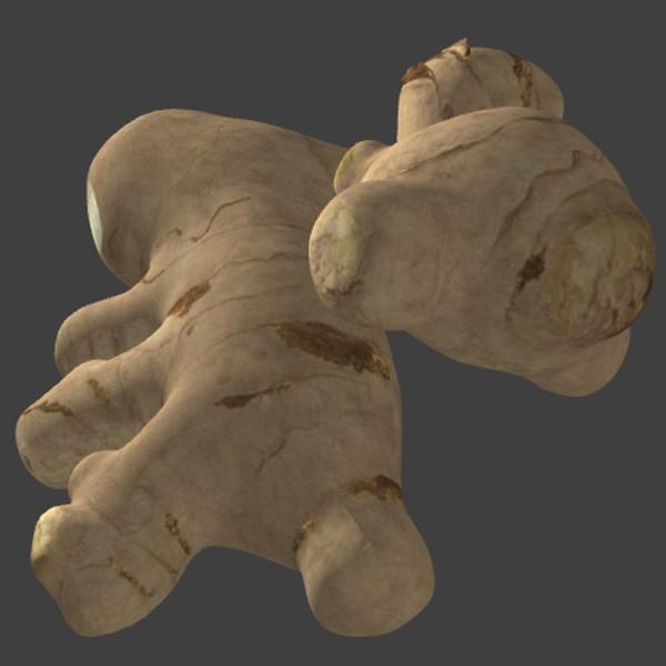 生姜-文体生活-蔬菜-VR/AR模型-3D城