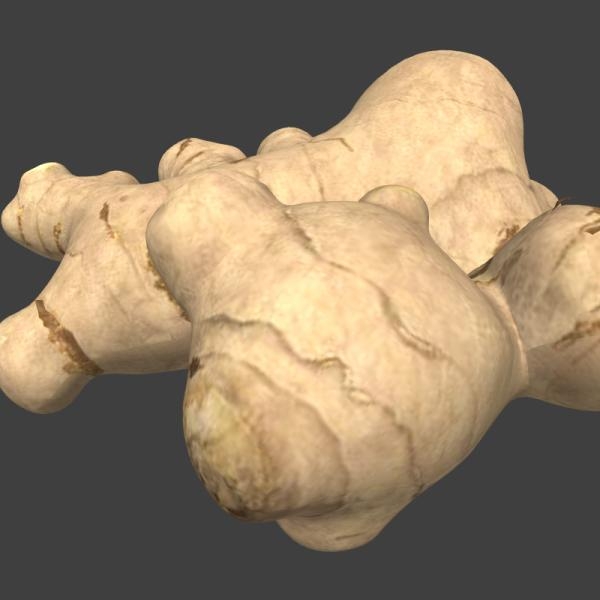 生姜-文体生活-蔬菜-VR/AR模型-3D城