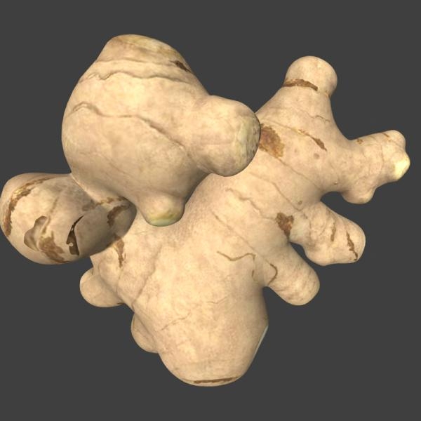 生姜-文体生活-蔬菜-VR/AR模型-3D城