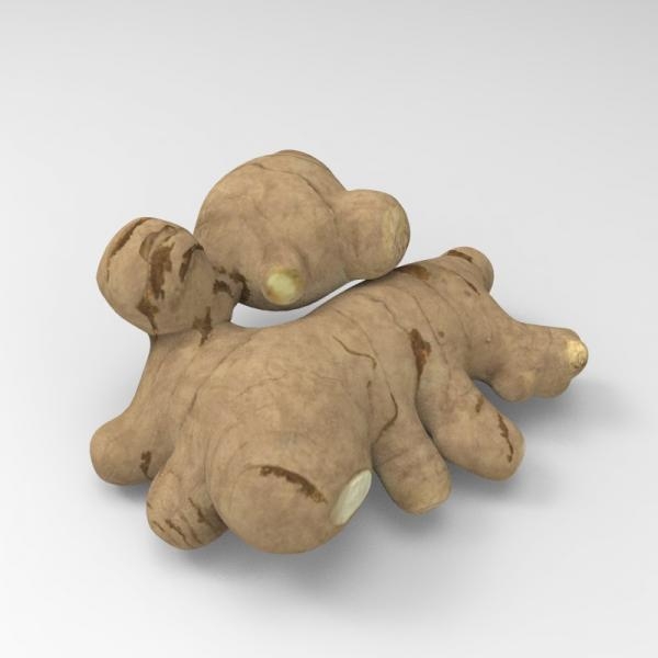 生姜-文体生活-蔬菜-VR/AR模型-3D城