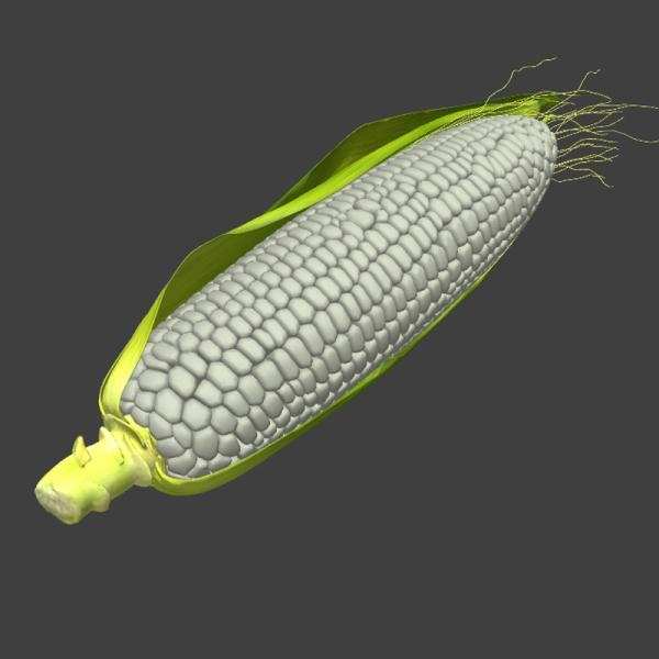 玉米-文体生活-蔬菜-VR/AR模型-3D城