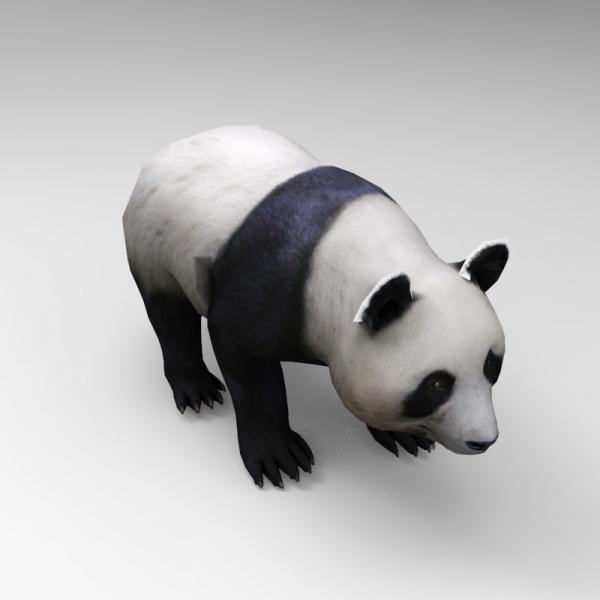 大熊猫-动植物-哺乳动物-3D打印模型-3D城