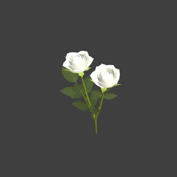 白色玫瑰花-动植物-VR/AR模型-3D城
