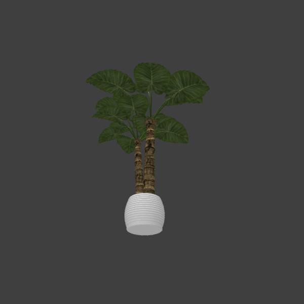 大叶盆栽-动植物-VR/AR模型-3D城