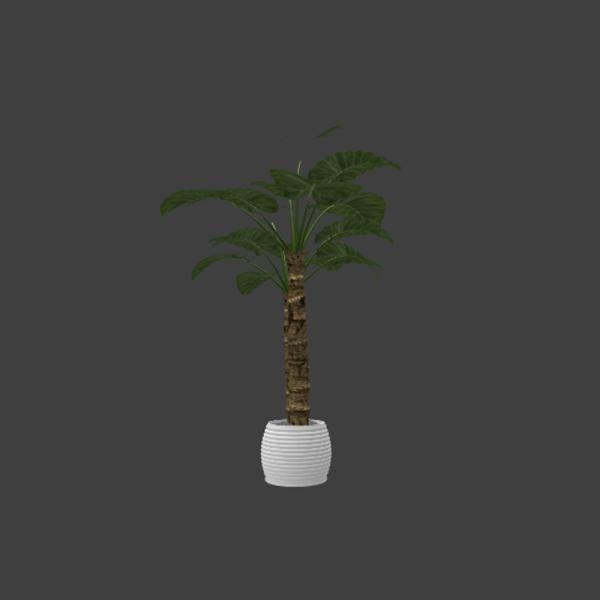 大叶盆栽-动植物-VR/AR模型-3D城