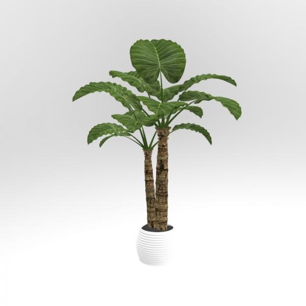 大叶盆栽-动植物-VR/AR模型-3D城